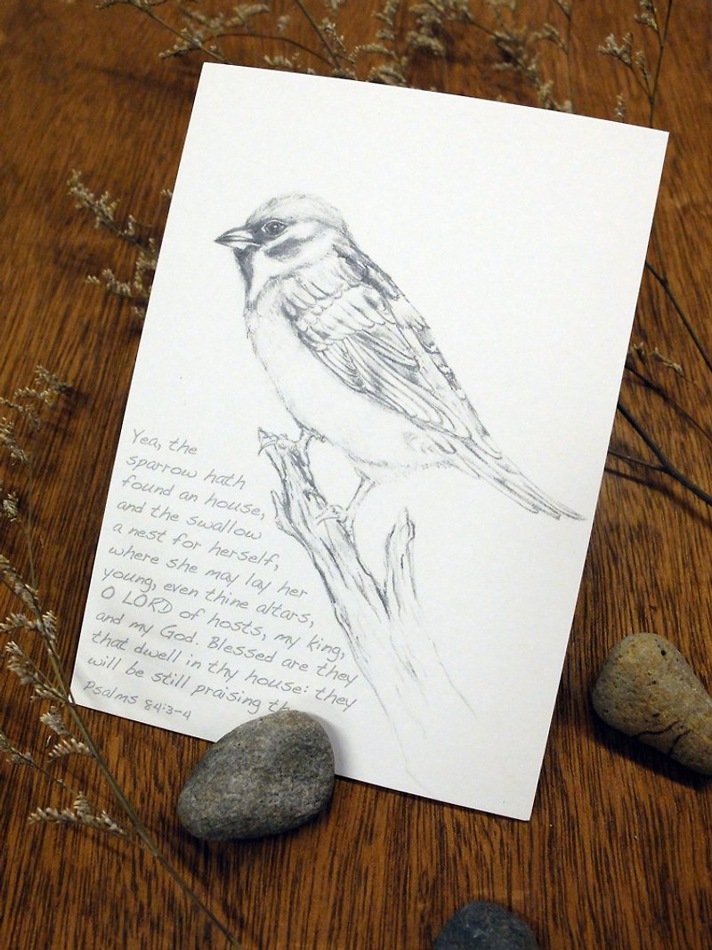 Sparrow sketching postcard - Cards & Postcards - Paper Gray
