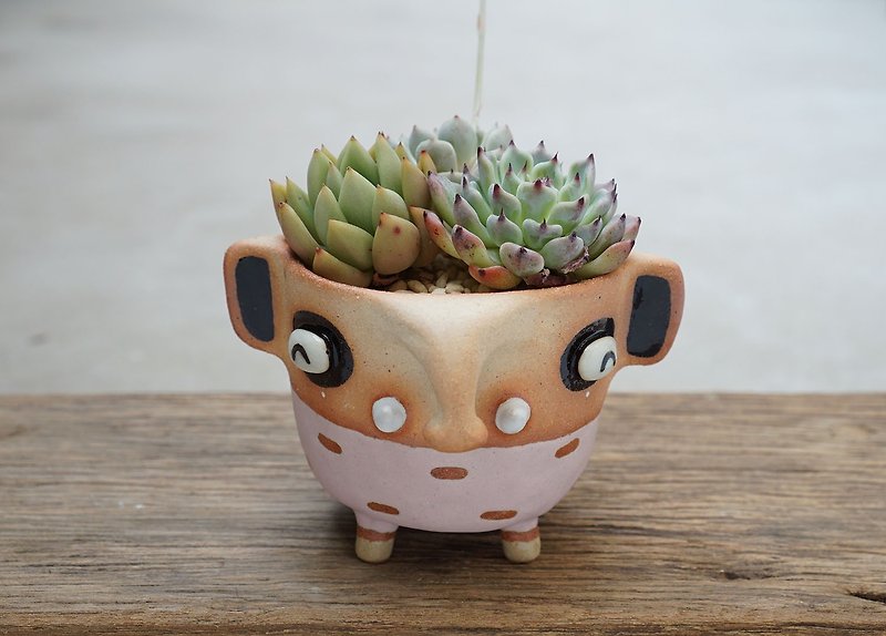 Elephant plant pot small plant pot cactus succulent bonsai - Plants - Pottery Pink
