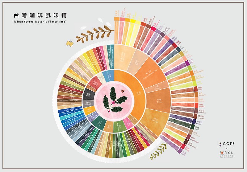 Taiwan Coffee Taster's Flavor Wheel - อื่นๆ - กระดาษ 