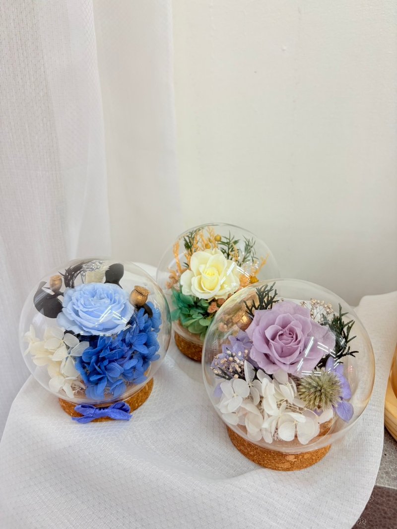 永生玫瑰小玻璃罩盅 永生玫瑰  永生花 - 乾燥花/永生花 - 玻璃 白色