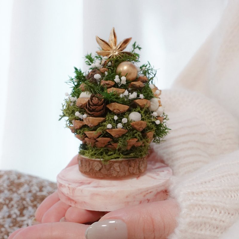 Dried flower pine cone Christmas tree ultra-miniature version diffuser Stone base Christmas gift eternal flower exchange gift - Dried Flowers & Bouquets - Plants & Flowers Green