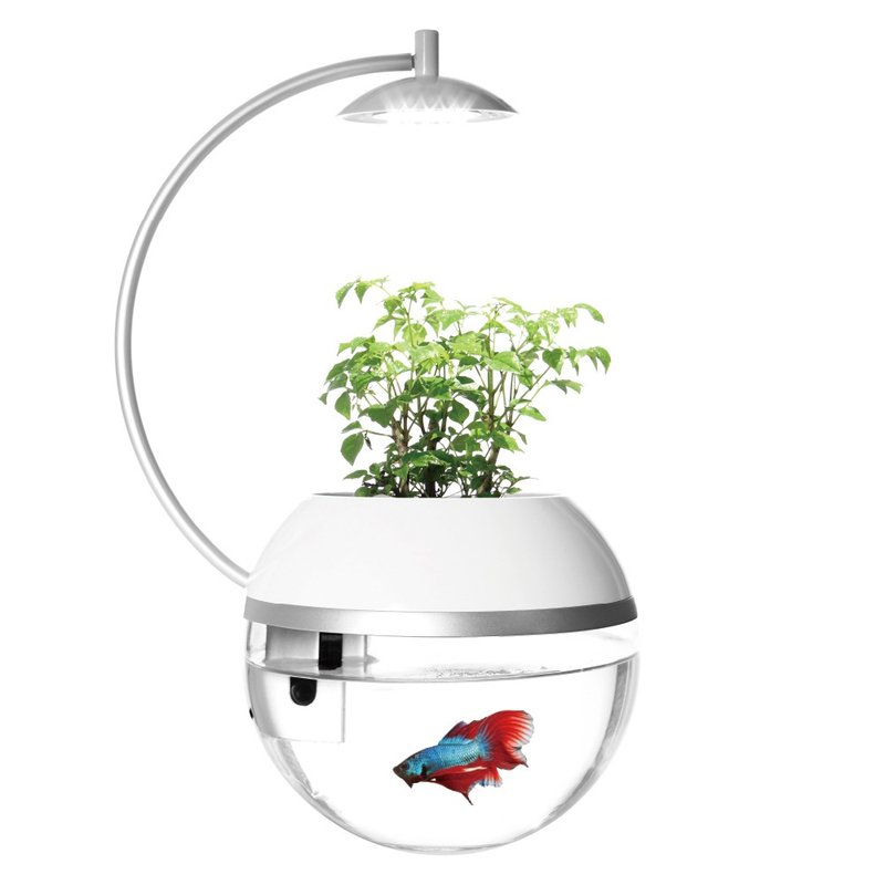 香草與魚Herb&Fish X - 盆栽/植栽 - 其他材質 白色