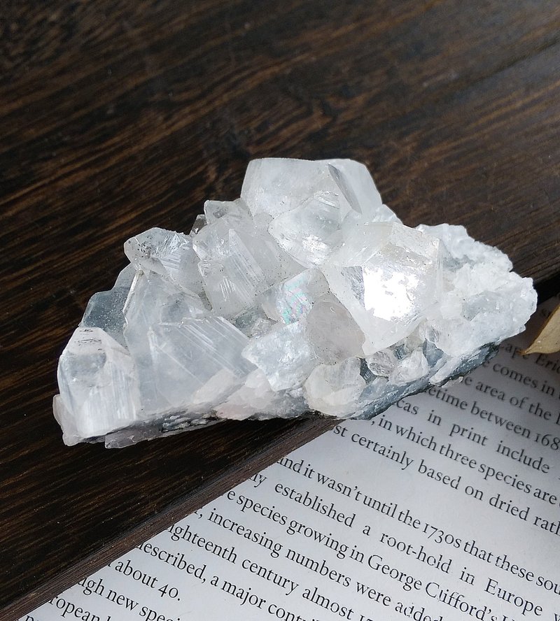 Apophyllite 印度產地 魚眼石 天然礦石 原礦 - 擺飾/家飾品 - 其他材質 