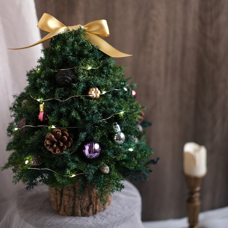 [Eternal cedar Christmas tree] Preserved flowers imported from Japan - Dried Flowers & Bouquets - Plants & Flowers 