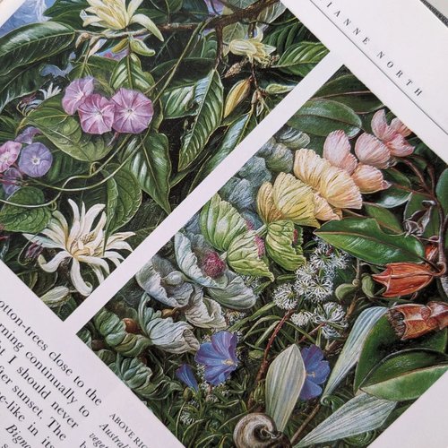 子どもの絵　植物 子どもの絵 植物 Gardens Shown to the Children | Lotus Vintage