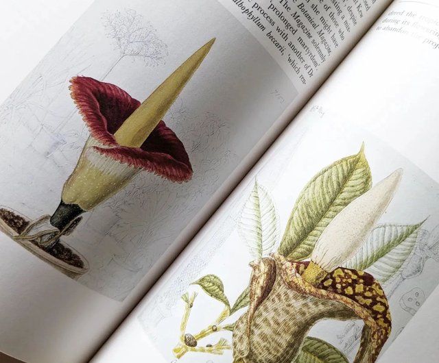 キュー王立植物園の花たち 350年にわたる花の絵画・古書・古書
