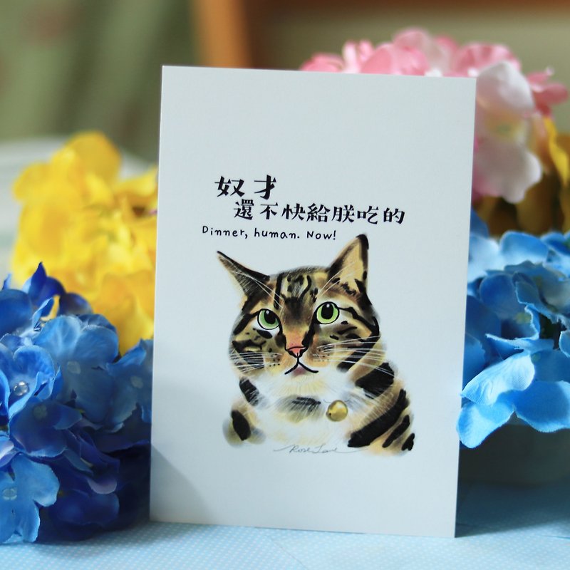 I am king of the Cat  Postcard - การ์ด/โปสการ์ด - กระดาษ ขาว