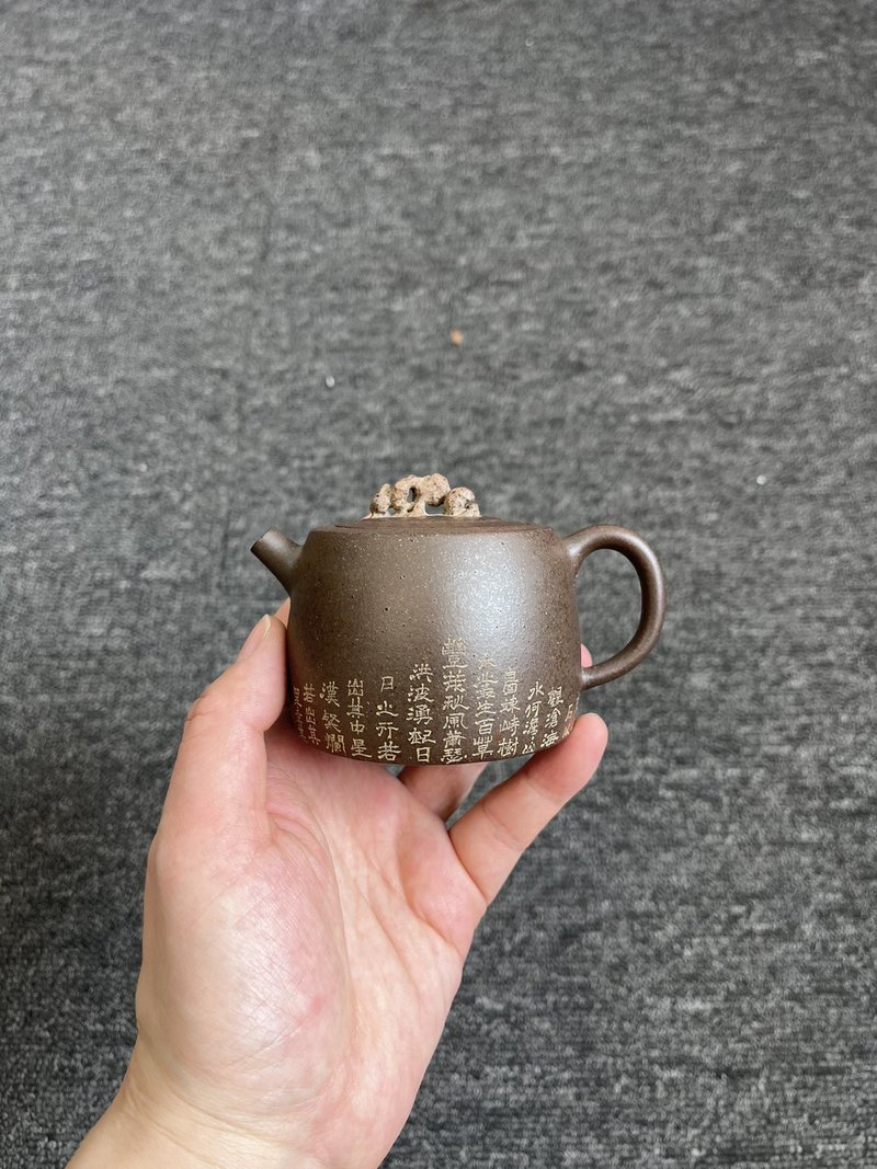 太湖石 小汉铎 150cc 陈腐老青段还原烧  水色润泽易泡养 壶盖宜 - 茶壺/茶杯/茶具 - 陶 灰色