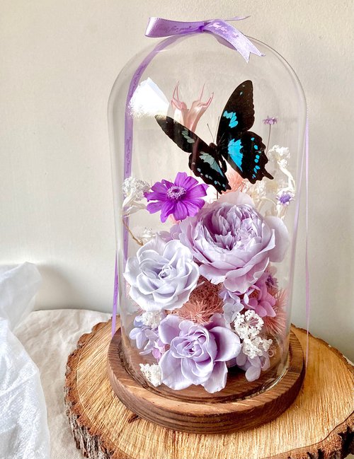 鯉花 Koiflora life Papilio epiphorbas 鳳蝶∣永生花玻璃盅∣開幕∣情人節∣母親節
