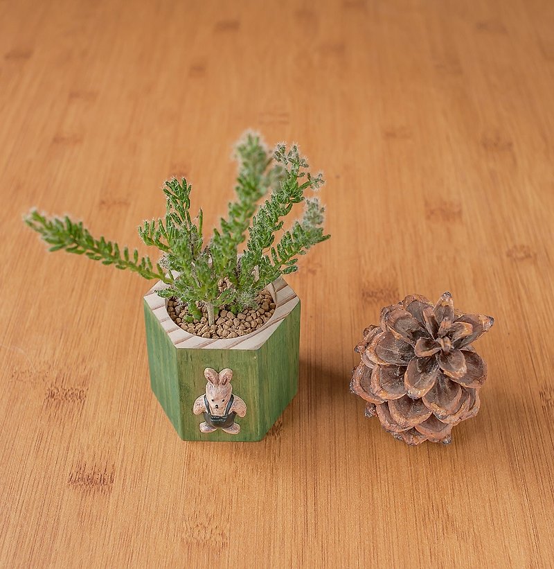 [Succulent Beehive Tub-Fir Green Rabbit] Does not contain succulent log flower - ตกแต่งต้นไม้ - ไม้ 