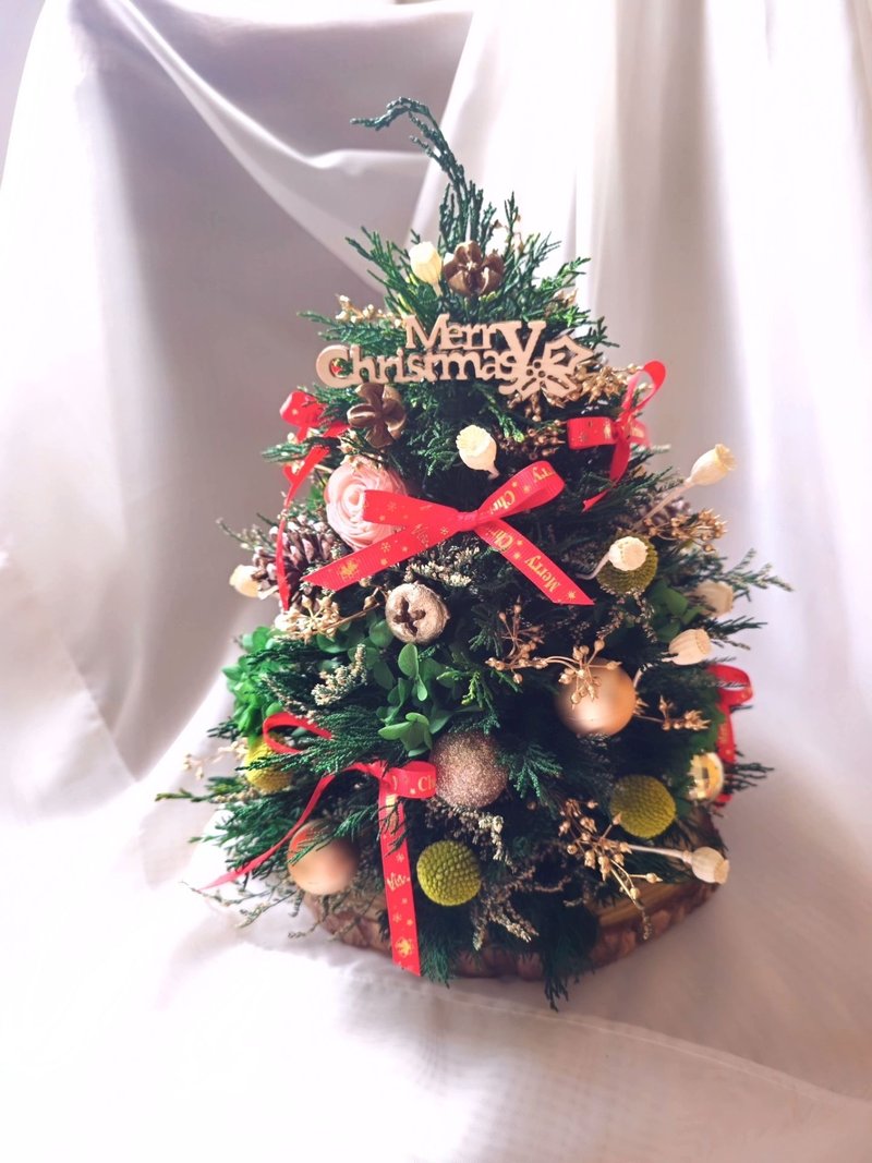 永生扁松柏-聖誕樹 - 裝飾/擺設  - 植物．花 