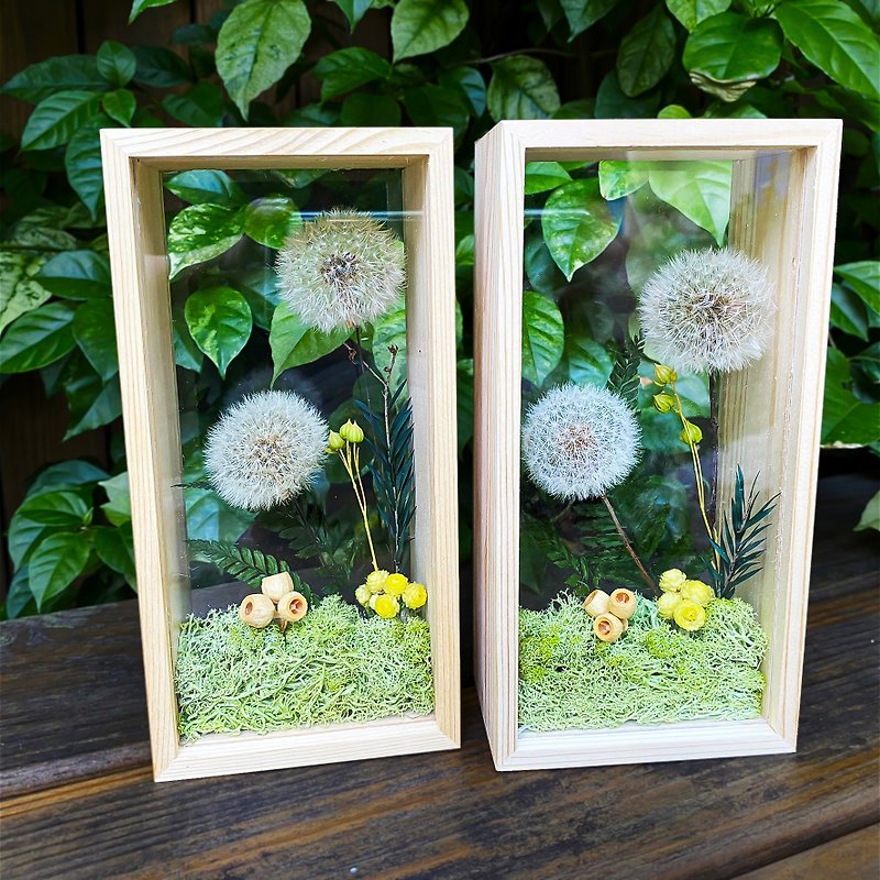 Dandelion micro landscape double-sided photo frame garden immortal flower gift - ของวางตกแต่ง - พืช/ดอกไม้ 