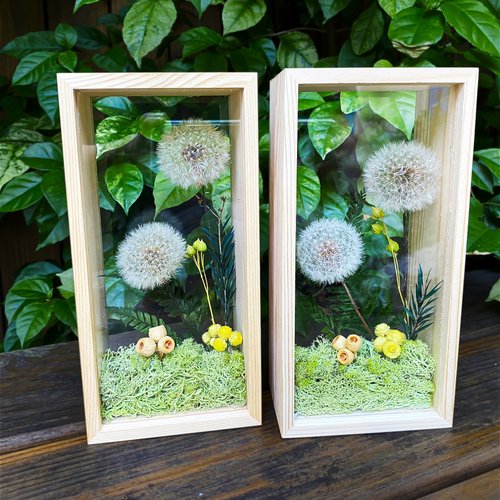 Floral Footprint studio 竹跡手創館 蒲公英微景觀 雙面相框花園 永生花禮