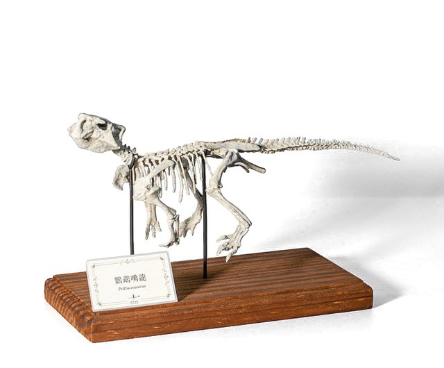 仿厓印痕 邊見仿厓作品集 防複印紙| 防偽A4影印紙| 報告書用紙| 合約紙【含複印顯字效果