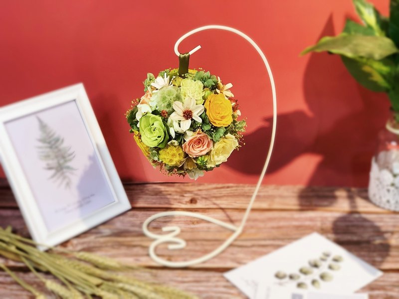 幸福花球、花球樹 - 乾燥花/永生花 - 植物．花 紅色