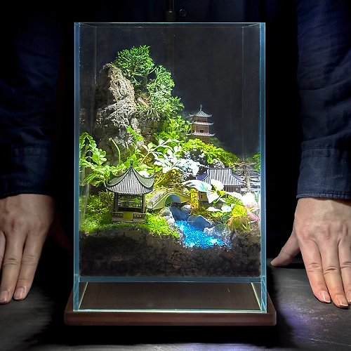 本草崗木 主題性客製化造景生態缸 / 超白懸浮缸 - 蘇州遊記