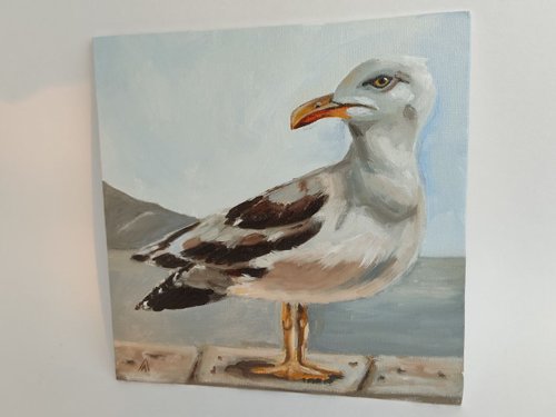 カモメの絵のアートワーク オリジナル オイル アート鳥のポートレート