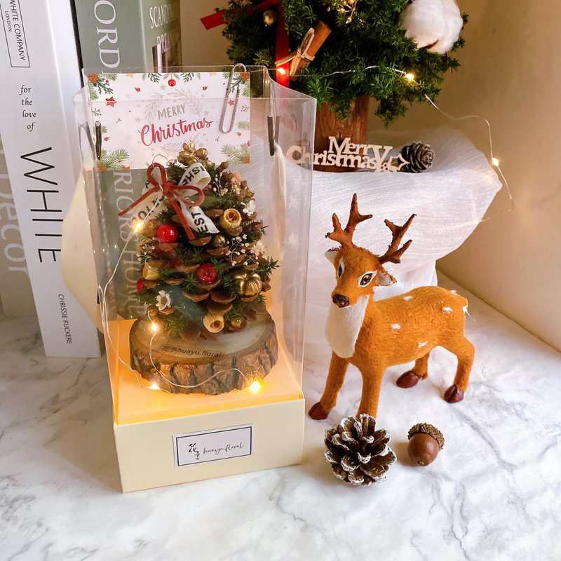 プリザーブドフラワー プリザーブドシダー クリスマスツリー 松ぼっくり プレゼント交換 クリスマスギフト クリスマス 飾り付け - ドライフラワー・ブーケ - 寄せ植え・花 グリーン