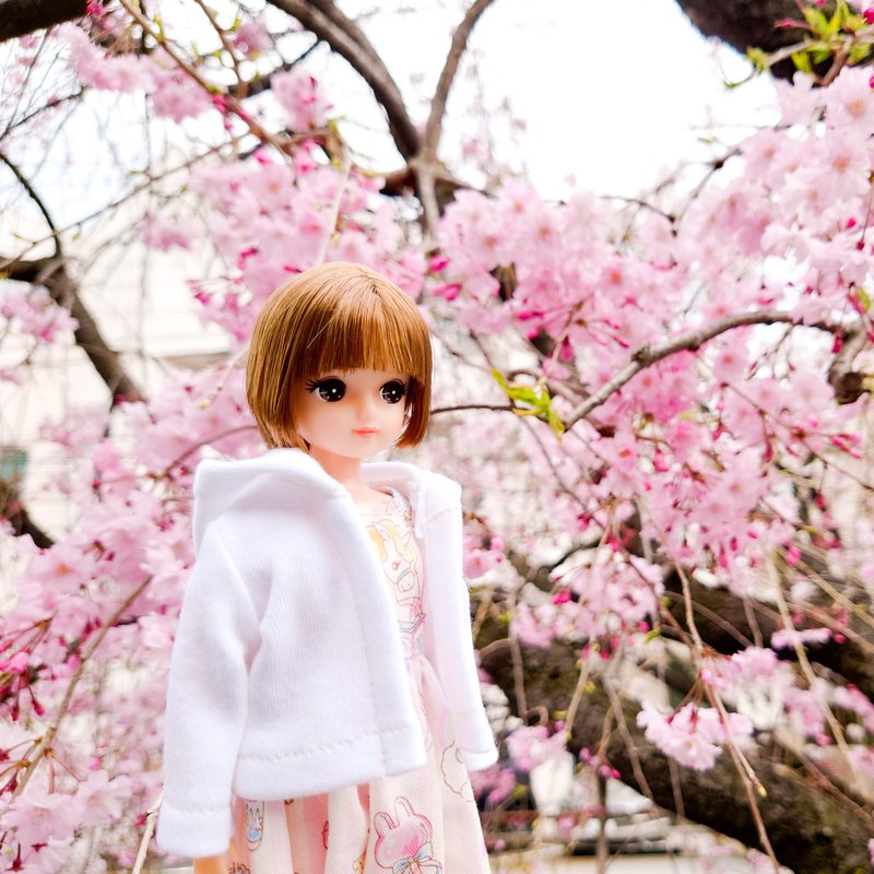 Licca-chan clothes, hoodie with selectable colors, 2 colors - Stuffed Dolls & Figurines - Cotton & Hemp White