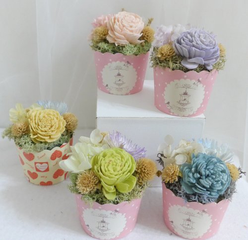Kinki 手作Studio 快速出貨盆花桌花交換禮物|開幕店面居家佈置離職退休