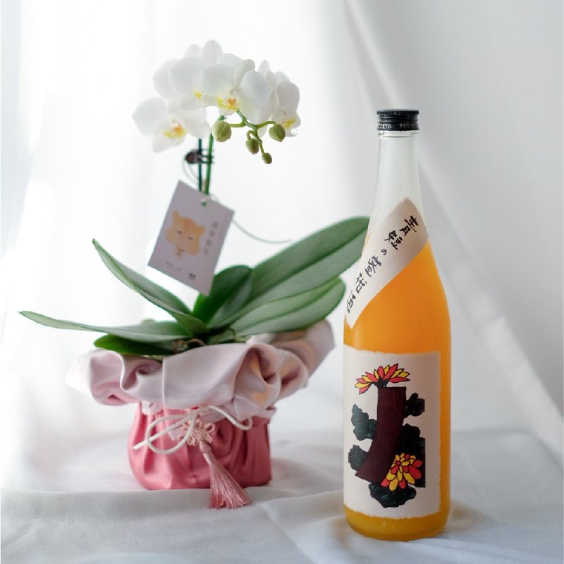 /新年限定/ 蘭花 x 揮春花果酒賀年福袋 - 酒類/酒精飲品 - 植物．花 白色