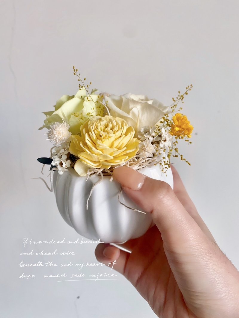 小清新永生花小桌花花禮 - 擺飾/家飾品 - 植物．花 黃色