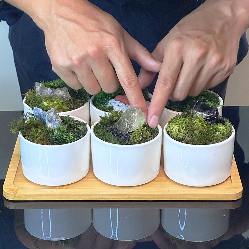 苔蘚生態盆維護服務 - 植栽/盆栽 - 植物．花 