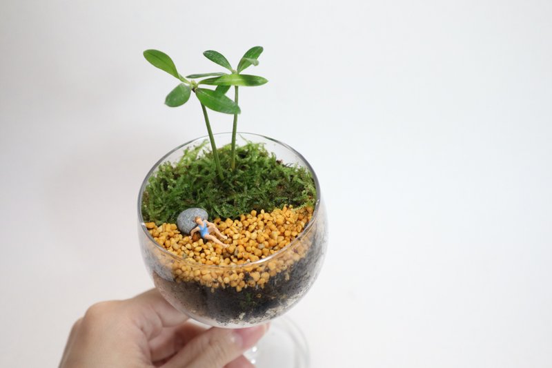 【微景觀】海濱日常－盆栽/苔蘚植物/禮物/沙灘/度假 - 植栽/盆栽 - 玻璃 綠色