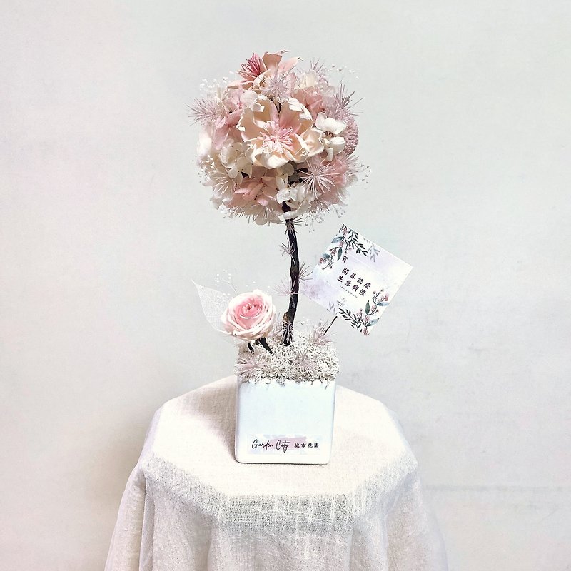 Dry everlasting flower tree ball potted plants for opening gifts, housewarming celebrations, promotion congratulations, home decoration - ช่อดอกไม้แห้ง - พืช/ดอกไม้ สึชมพู