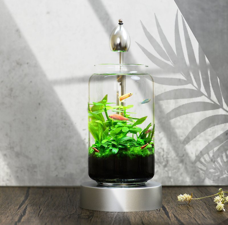 [Free Shipping] Building Blocks Impression Live Water Plant Ecological Relief Fish Tank Ecological Bottle [Qingqing Grassland] - Other - Glass Silver