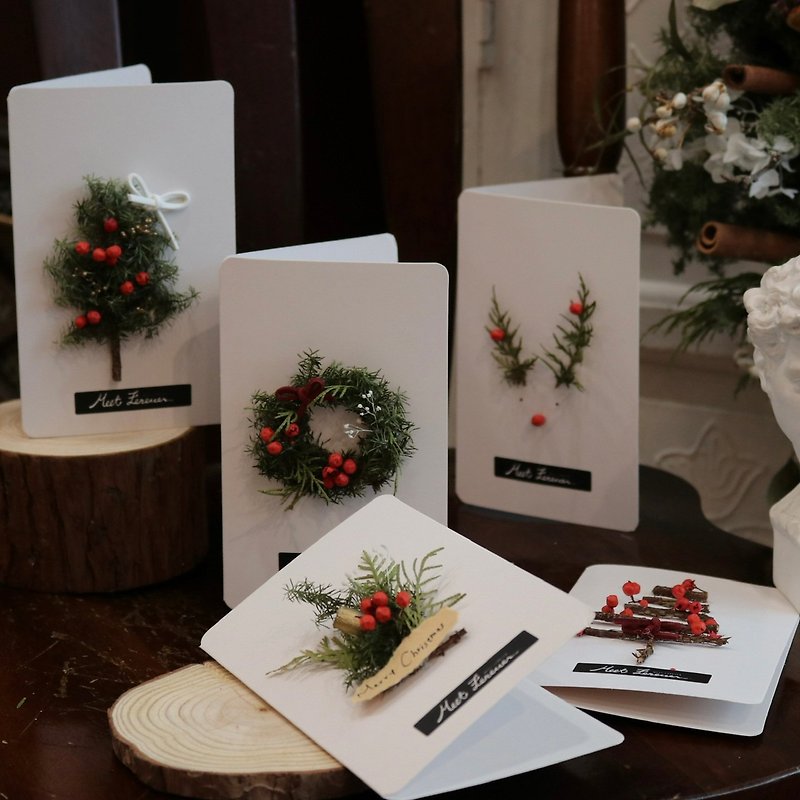 【遇見恆久】加購區 聖誕節指定商品 可加購卡片共5款 聖誕禮盒 - 乾花/永生花 - 植物．花 