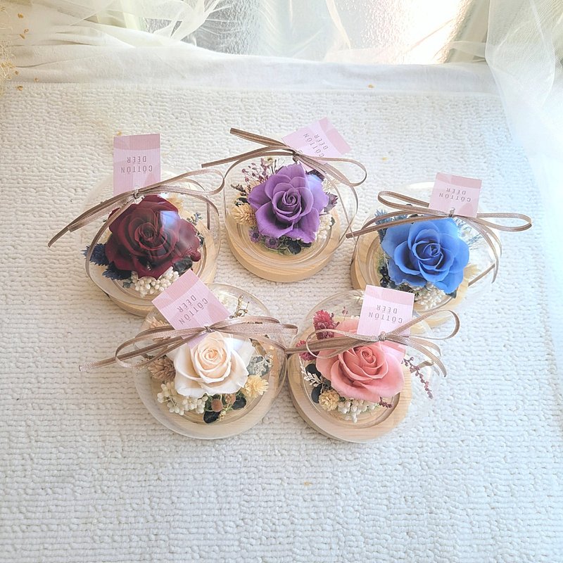 永生玫瑰花玻璃罩盅。玻璃球。擺飾。附包裝。 - 乾燥花/永生花 - 植物．花 