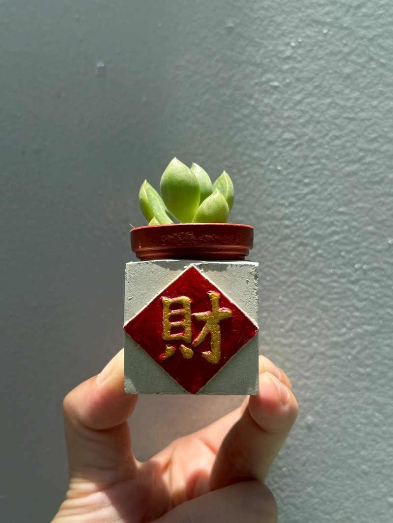 財 紅通通!!新年磁鐵盆栽 送多肉 - 盆栽/植栽 - 水泥 紅色