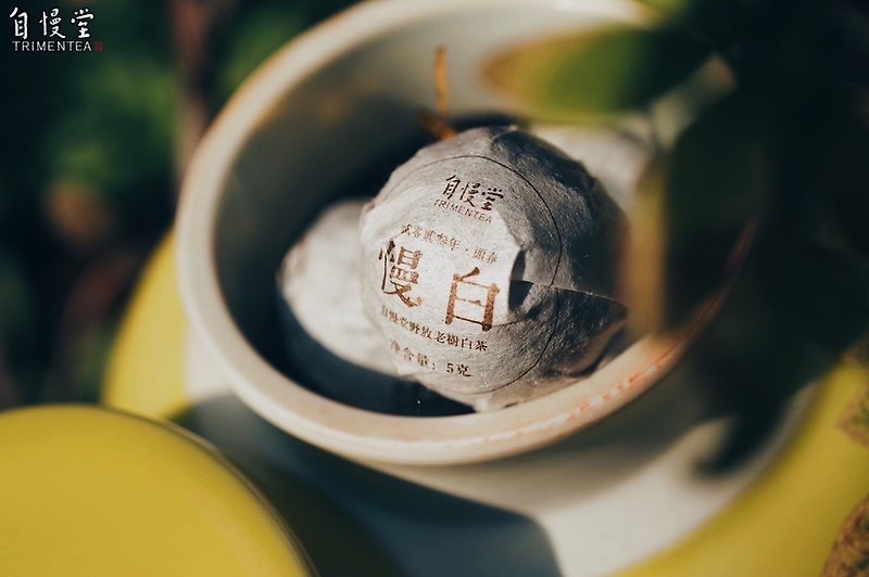 自慢堂 福藏茶 茶倉+茶葉組 白茶/生普 - 茶葉/漢方茶/水果茶 - 其他材質 