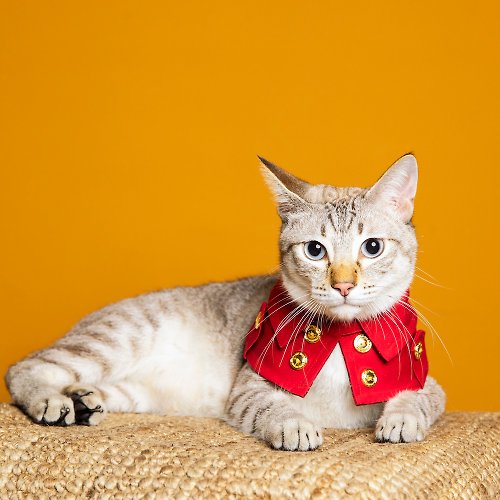 ZAZAZOO 劍橋公爵雙排扣寵物風衣--貓