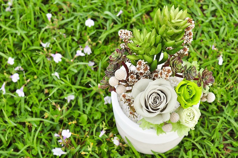 Green Day │Preserved flowers and artificial succulent plants - ตกแต่งต้นไม้ - พืช/ดอกไม้ สีเขียว
