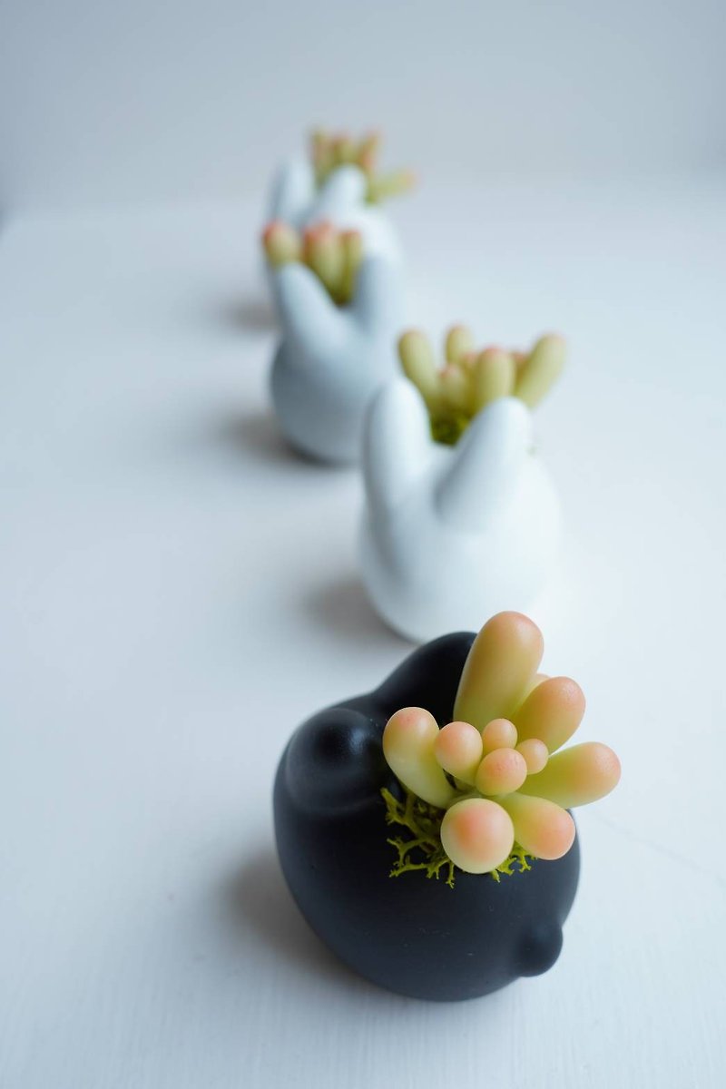 Spy succulent plant rabbit pot [handmade resin clay simulation succulent] - ของวางตกแต่ง - วัสดุอื่นๆ สีเขียว