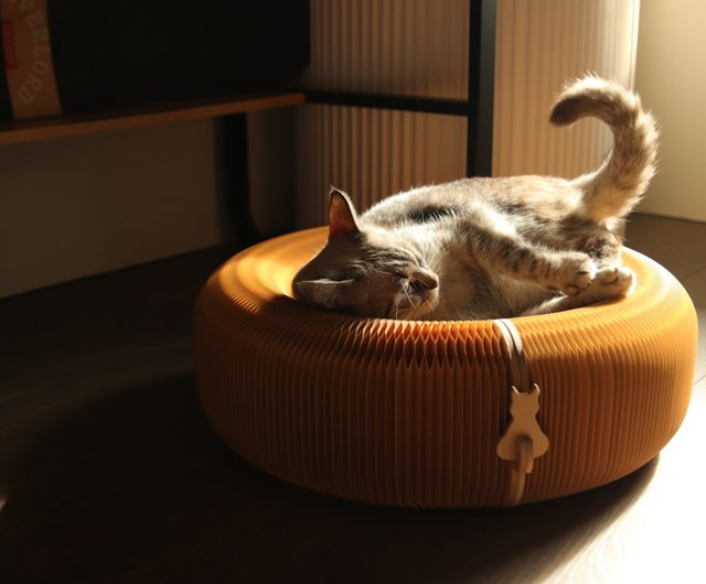 Honeycomb sales cat bed