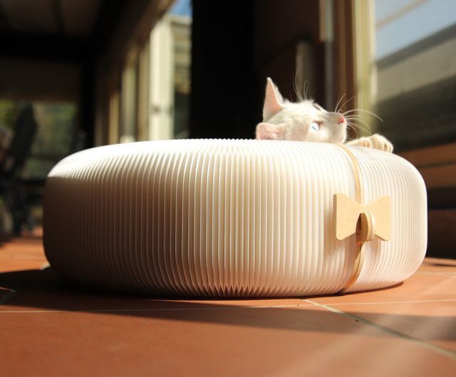 Honeycomb 2024 cat bed