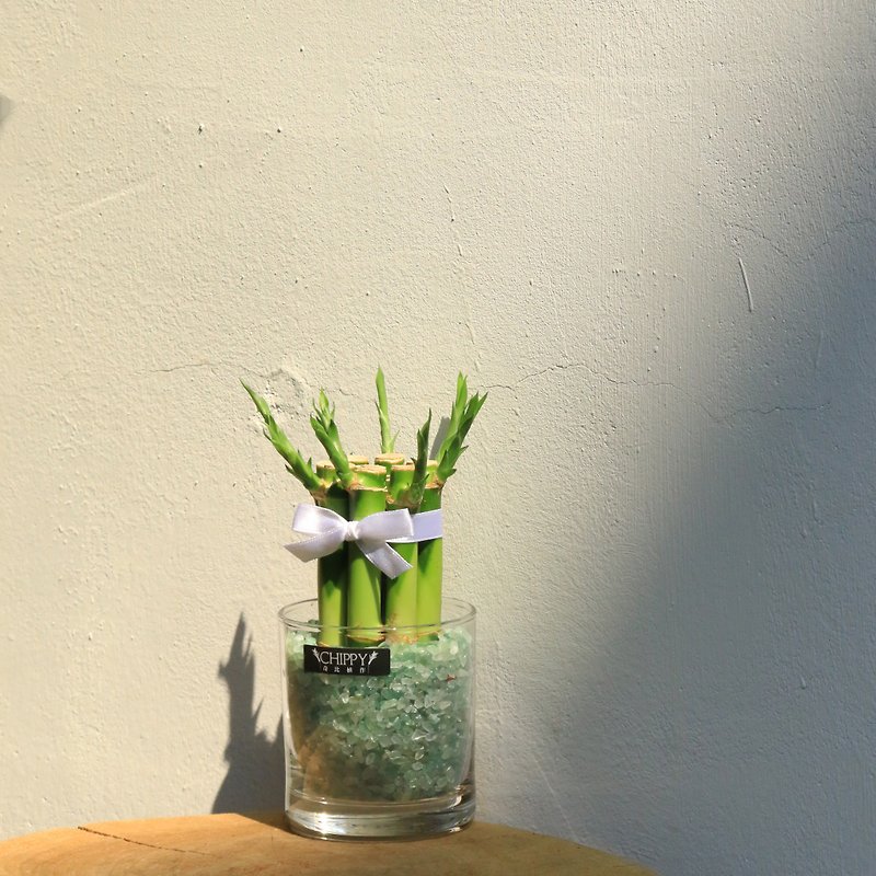 【Lucky Series】Lucky Bamboo on the Desk-Green Crystal for Good Harvest - ตกแต่งต้นไม้ - พืช/ดอกไม้ 