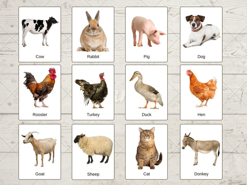 Montessori Printable Cards - FARM ANIMALS, Educational Material PDF - 電子喜帖/賀卡/邀請函 - 其他材質 