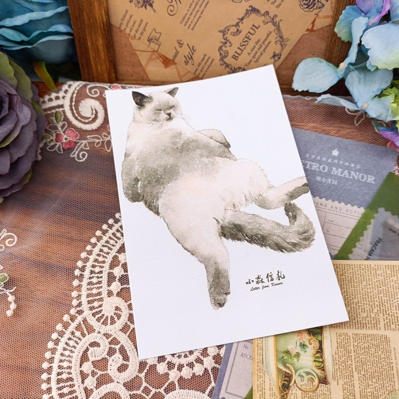 LS151貓咪明信片_12_Cat Postcard_12/明信片 - 卡片/明信片 - 紙 多色