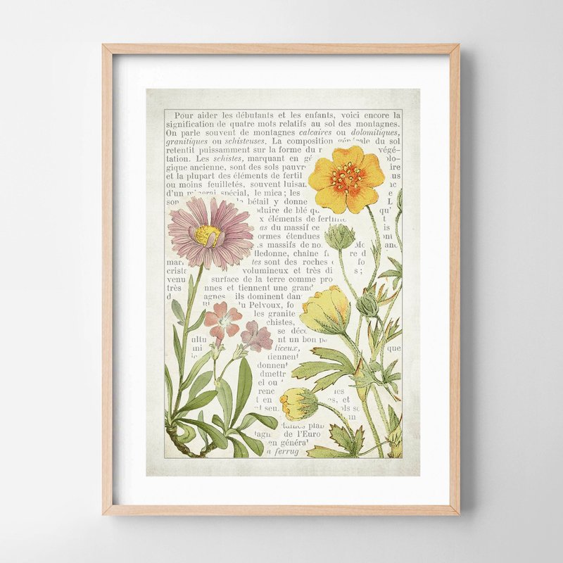 Vintage Botanical Print 畫 佈置 擺飾 臥室 餐廳 咖啡廳 - 壁貼/牆壁裝飾 - 紙 
