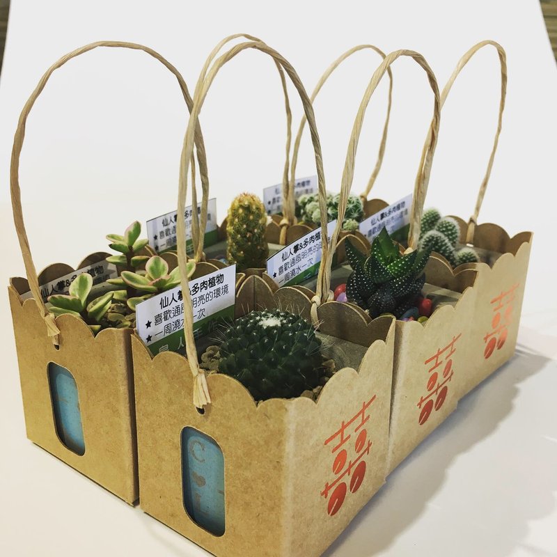 【客製化水泥花器-1組100個】迷你多肉仙人掌 婚禮小物 企業贈禮 - 盆栽/植栽 - 水泥 灰色
