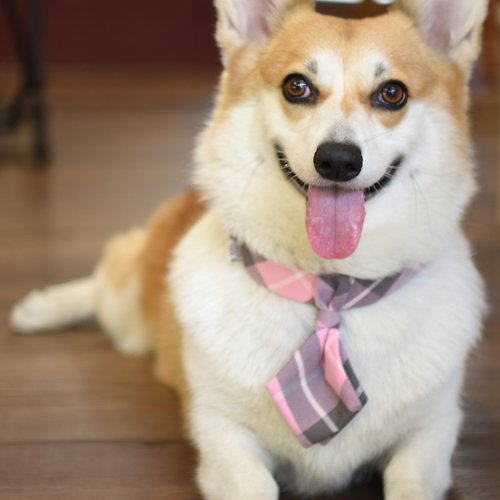 ZAZAZOO 狗狗粉紅格寵物領帶-不含項圈、牽繩【ZAZAZOO】