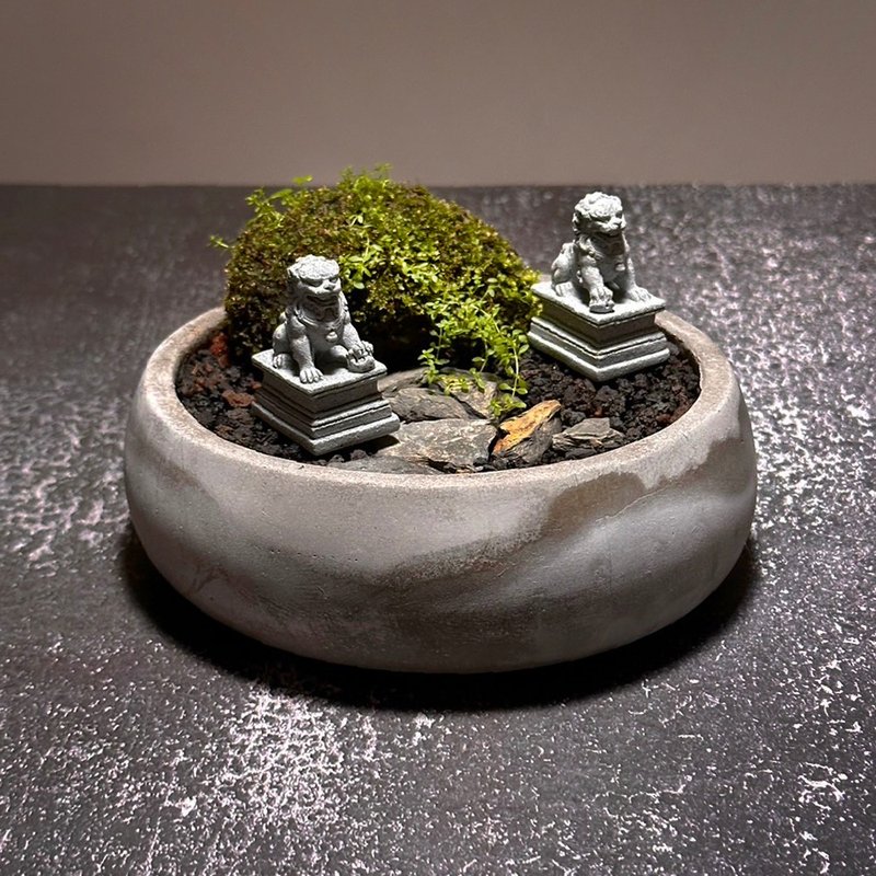 Natural Moss Jade Aesthetics – Guardian - Plants - Plants & Flowers 