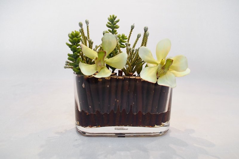 装飾造花 - 緑の平らなガラス片バンダイ - 観葉植物 - その他の素材 イエロー