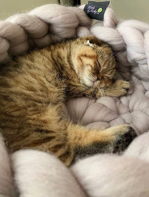 OgilHandMade 多功能寵物沙發床寵物床寵物床墊寵物床天然羊毛寵物床