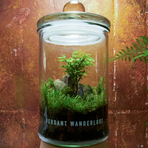 景觀丸藝 Verdant Wanderlust 【生態缸-七里春庭】微景觀 室內植栽 禮物 辦公室擺設