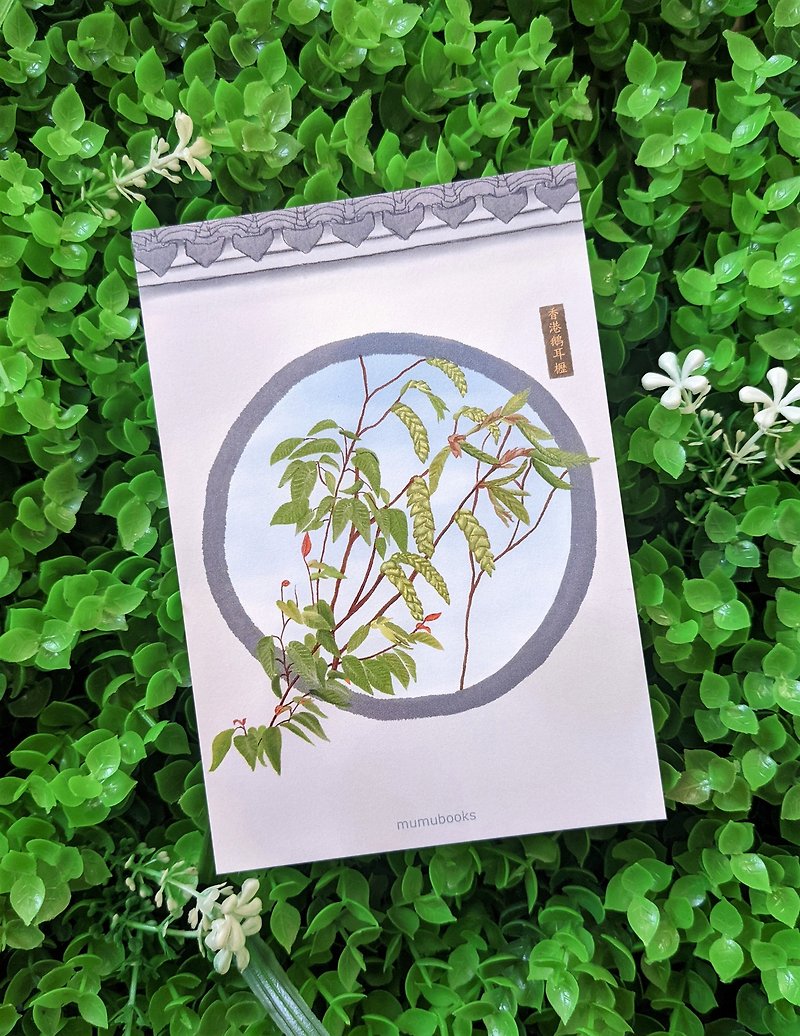 明信片 – 花卉系列 – 香港鵝耳櫪 - 心意卡/卡片 - 紙 多色